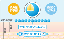 保護してくれる成分